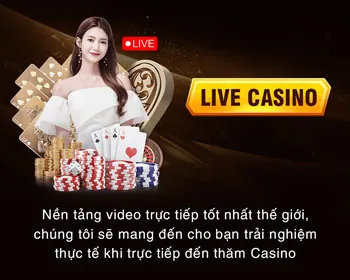 Cấp độ VIP Bạch Kim của i9bet141 win